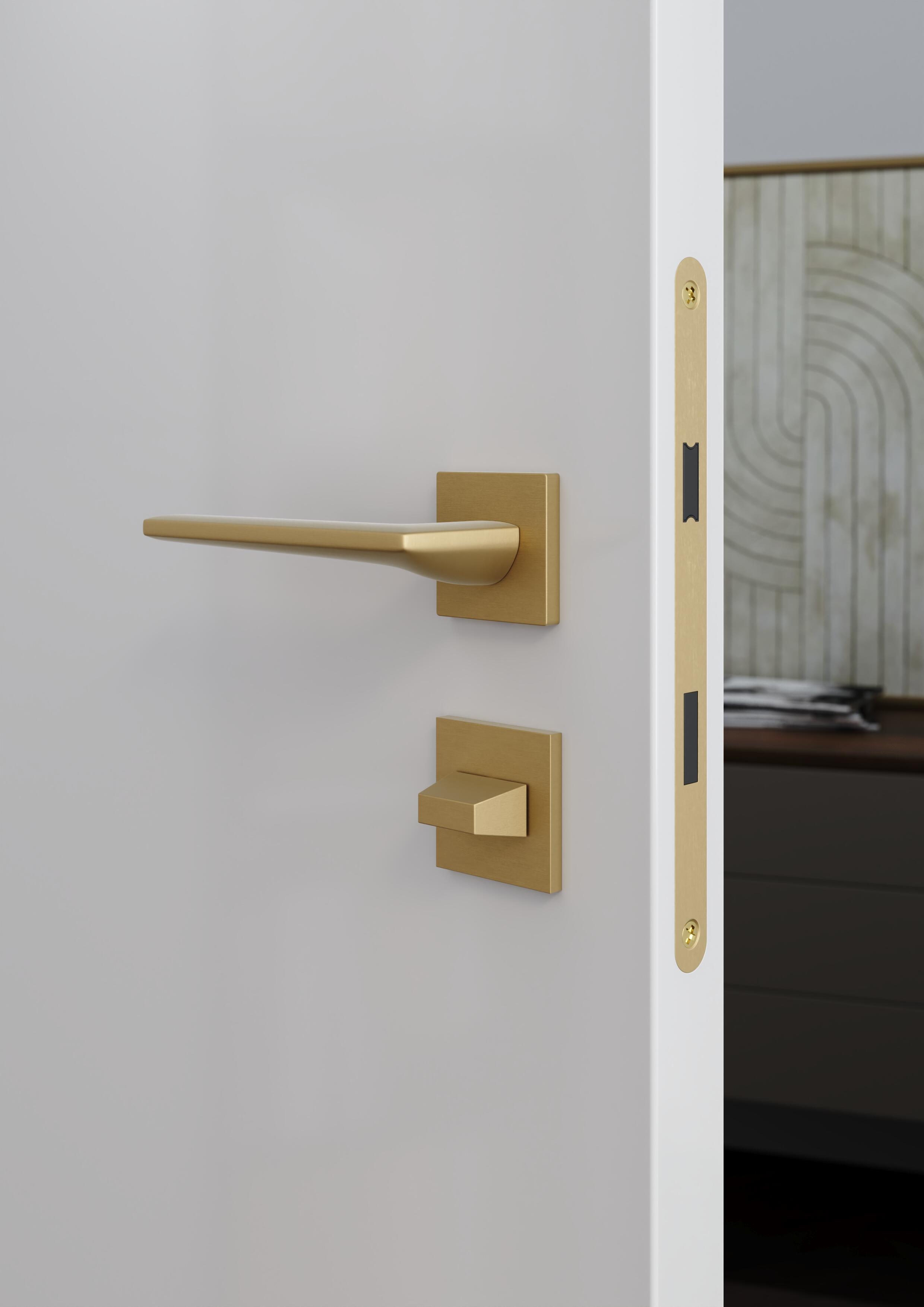 Otočné dveře Clever